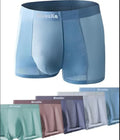 Men's Shorts Underwear Men's Brief Boxer Multicolor pack of 1